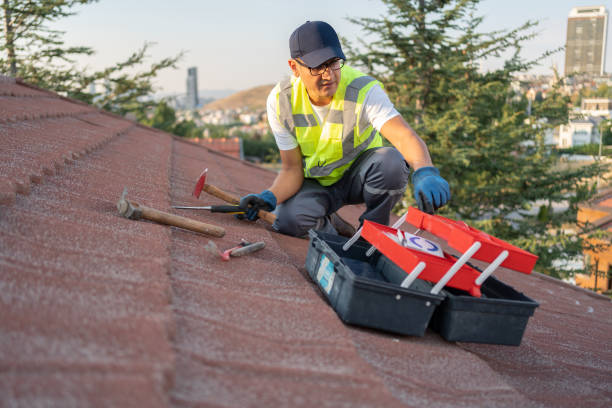 Best Hoarding Cleanup  in Bardonia, NY